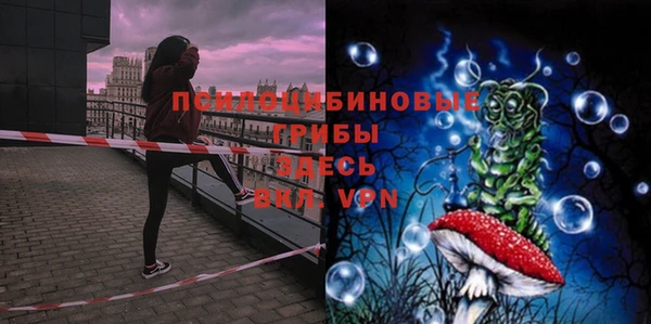 спиды Белоозёрский