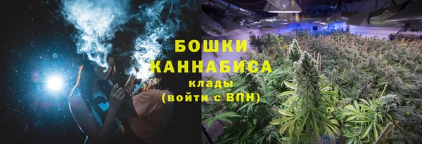 каннабис Белокуриха