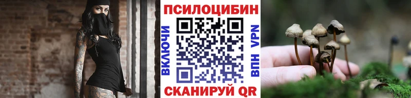 Псилоцибиновые грибы Psilocybe  цена наркотик  гидра ТОР  Гусев 